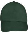 88119 Buzz SOL'S Buzz Cap Forest Green colour image